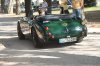IMG_0556_c_rolf-dieter_koch.jpg
